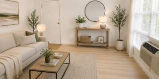 ONE11 COLLECTION - ROYAL OAK Gallery 3