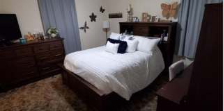 College Station - 3 bedroom /3 bath HOUSE Near TAMU! Gallery 18