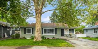 Midtown CDA! Gallery 1