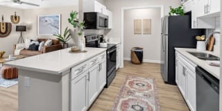 The Murray Gallery 19