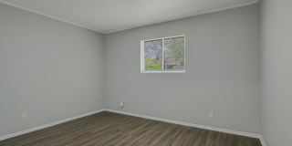 Magnolia Drive Gallery 7