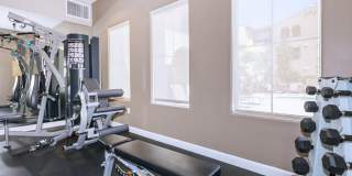 Paseos At Magnolia Luxury Apartment Homes Gallery 45