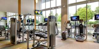 AMLI at Mueller Gallery 6