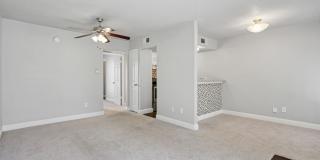 Madison at Bellmar Gallery 14