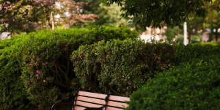 The Metropolitan at 40 Park Gallery 36