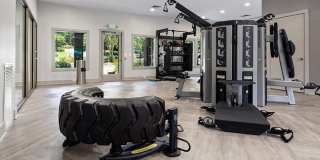 The Falls and Woods of Hoover Gallery 16