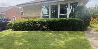 8748 N Olcott Avenue Gallery 1