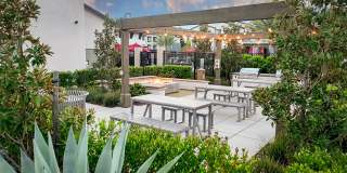 The Strand Gallery 38