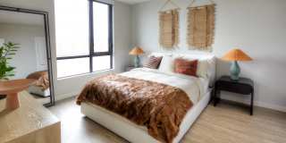 South Standard Gallery 6