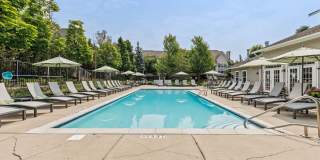 Encore Townhomes I Gallery 36