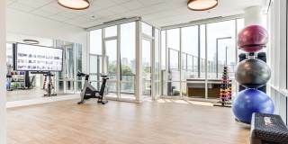 Windsor North + Vine Gallery 24