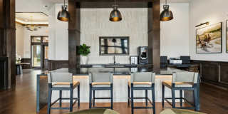 Lakeview at the Gates of Prosper Gallery 38