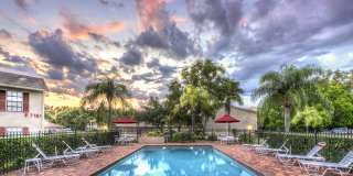 Seville Apartments. A Beautiful apartments is waiting for you to make it a Home. Great Specials Today! Gallery 18