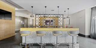 The Washingtons Gallery 17