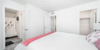 2849 Desert Mosaic Lane Gallery 21