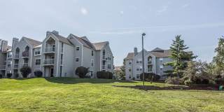 Whispering Lake Gallery 26