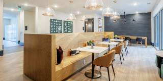 The Cameron Gallery 7