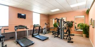 Ambassador Arms Gallery 7