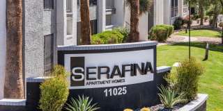 Serafina at South Mountain Gallery 18