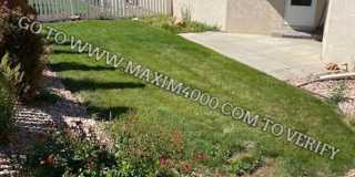 2499 INTERLOCHEN CT #4A - GREAT 2BR HOME - FOUNTAIN GREENS AREA Gallery 16