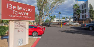 Bellevue Towers Gallery 12