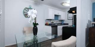 Fifteen 50 Gallery 5