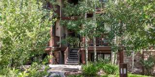 Pinebrook Condo Near Bus Line Gallery 15