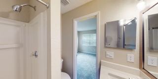 Cypress Run Gallery 33