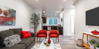 2 weeks Free rent - 1 year lease  Modern 3 bed 3 1/2 bath Gallery 3