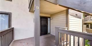 9 Madrona Gallery 29
