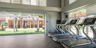 Vive on the Park Gallery 18