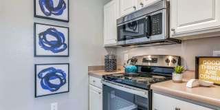 The Atlantic Palazzo Gallery 7