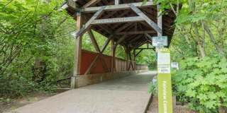 Fairview Village Gallery 13