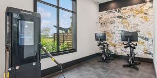 Ascend Nona West Gallery 18