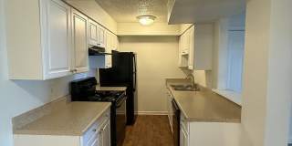 Marsh Cove & Somerset Gallery 31