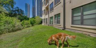 404 Rio Grande Gallery 32