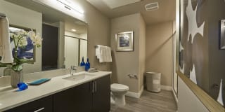 Muse Apartments Gallery 13