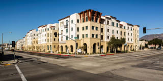 Luxe Pasadena Gallery 21