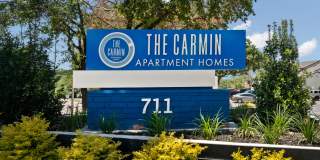 Carmin Carmin Gallery 1