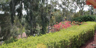 This incredible 4 bedroom single level home with private GATE  entry Gallery 12