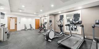 The Ainsley Gallery 23