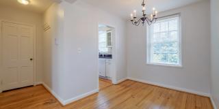 Sunny & Renovated 2BR 1BA in NW DC McLean Gardens Oasis! Gallery 10
