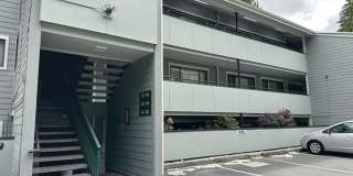 Jackson Park - 2 Bedroom/ 2 Bath Condo **W/S/G included** Gallery 1