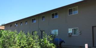 Island Park Gallery 1