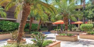 Acaciawood Village - Senior Living Gallery 6