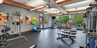 Austin City Lights Gallery 28