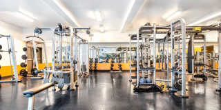 Arrive Hollywood Arrive Hollywood Gallery 30