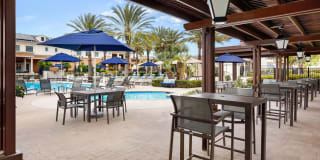 Homecoming at The Preserve Gallery 61