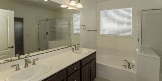 4 bedroom, 2.5 bathroom home in Golden Valley.  washer/dryer/refigerator included Gallery 12