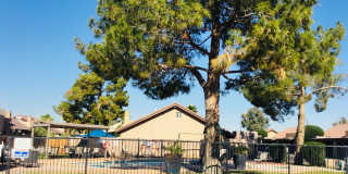 Cozy 2 Bed 2 Bath Town-home in Central Phoenix!! Gallery 11